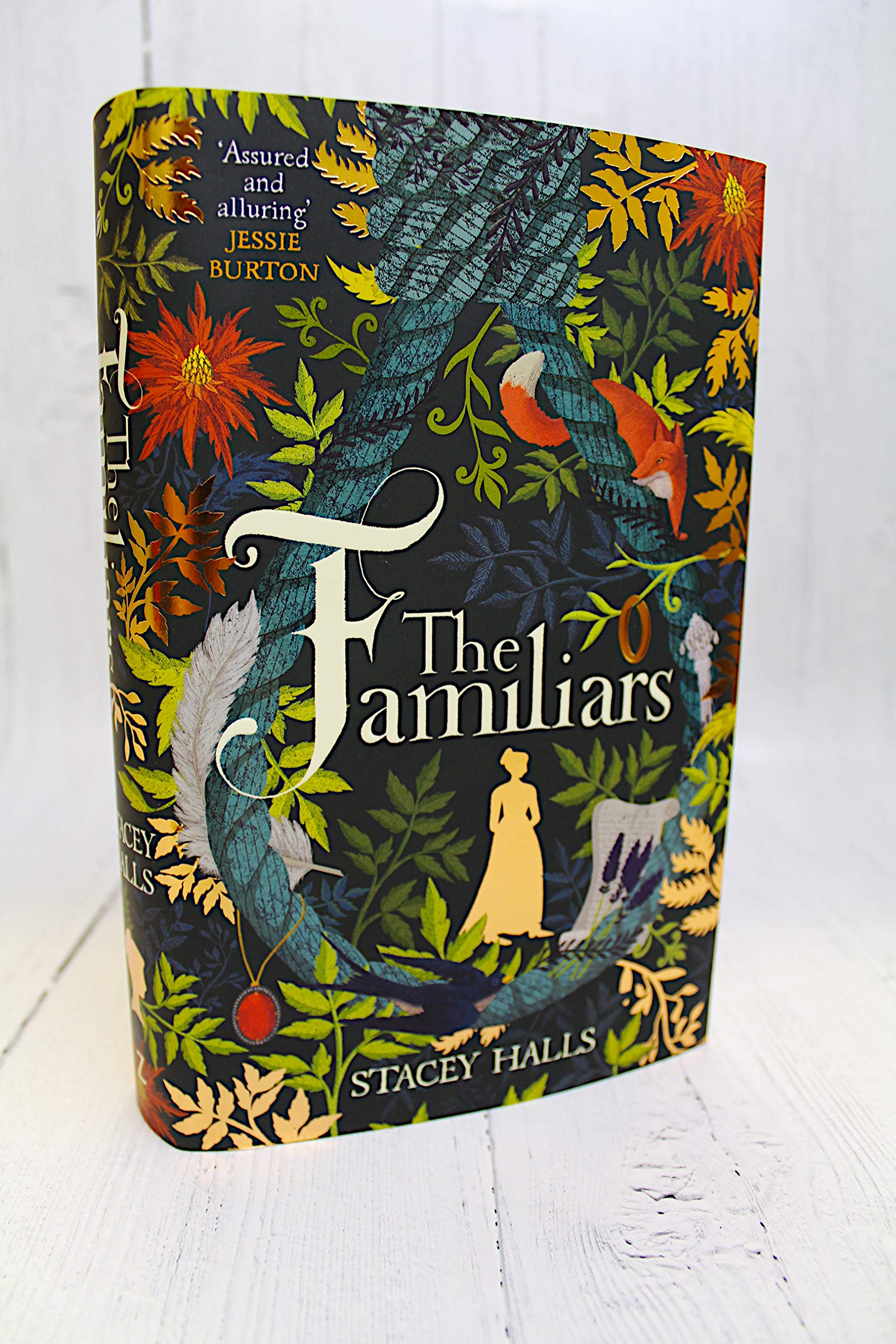 The Familiars (Gli occhi di Alice Gray)